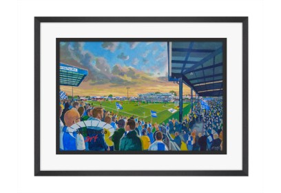 Memorial Stadium Fine Art Print - Bristol Rovers FC